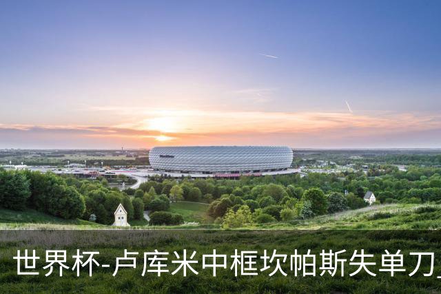 世界杯-卢库米中框坎帕斯失单刀 瑞士平哥伦比亚进点球