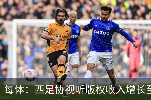每体：西足协视听版权收入增长至1.173亿欧元 赞助也达8070万欧元